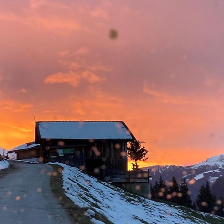 Ferienhaus Waidmannsruh ヒパッハ エクステリア 写真
